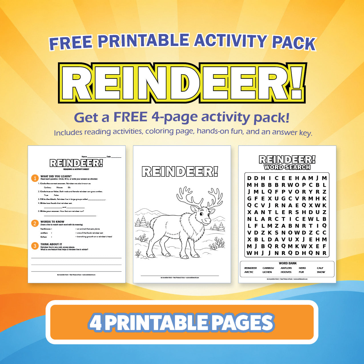 Free Reindeer Printable Activity Pack for Kids